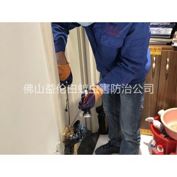 乐从上门防治白蚁工程