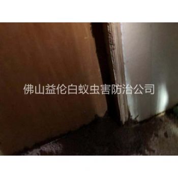 容桂房屋防治白蚁工程