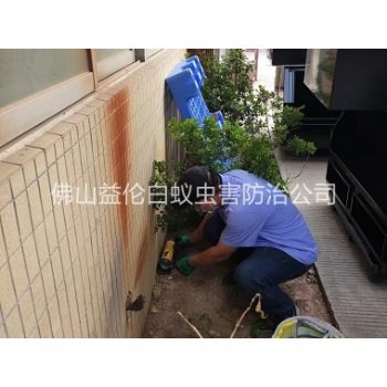 陈村投放灭鼠装置工程
