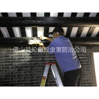 均安祠堂杀灭白蚁工程
