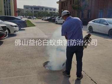 乐从登革热防控消杀工程